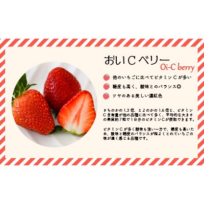 【今が旬!】北海道浦河産いちご「おいCベリー」230g×3P[13-1127]