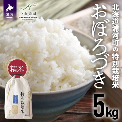 【新米発送!】北海道浦河町の特別栽培米「おぼろづき」精米(5kg×1袋)[37-1132]