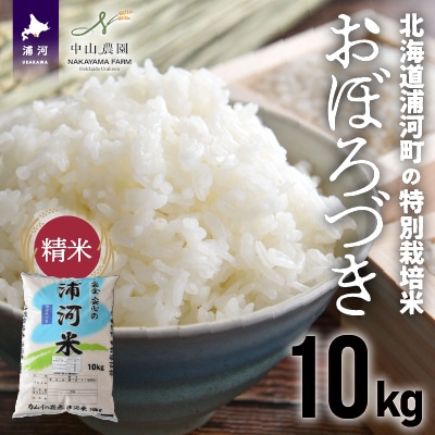【新米発送!】北海道浦河町の特別栽培米「おぼろづき」精米(10kg×1袋)[37-1133]