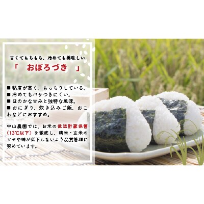 【新米発送!】北海道浦河町の特別栽培米「おぼろづき」精米(10kg×1袋)[37-1133]