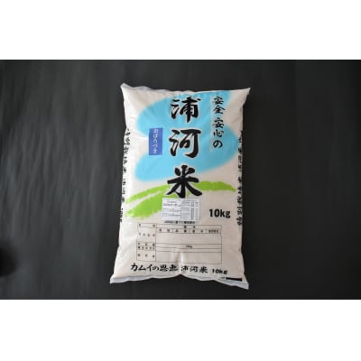 【新米発送!】北海道浦河町の特別栽培米「おぼろづき」精米(10kg×1袋)[37-1133]