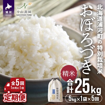 【令和4年産】浦河町特別栽培米「おぼろづき」精米(5kg×1袋)定期便(全5回)[37-1147]