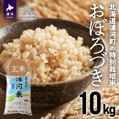 北海道浦河町の特別栽培米「おぼろづき」玄米(10kg×1袋)[37-1146]