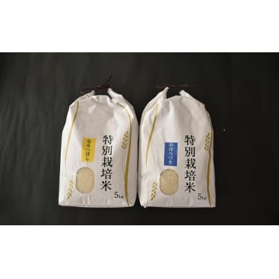 【新米発送!】北海道浦河町の特別栽培米「ななつぼし&おぼろづき」(計10kg)[37-1131]