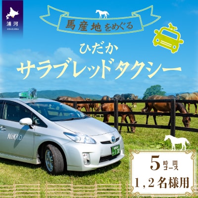 馬産地をめぐる「ひだかサラブレッドタクシー」5時間(1,2名様)コース[41-1104]