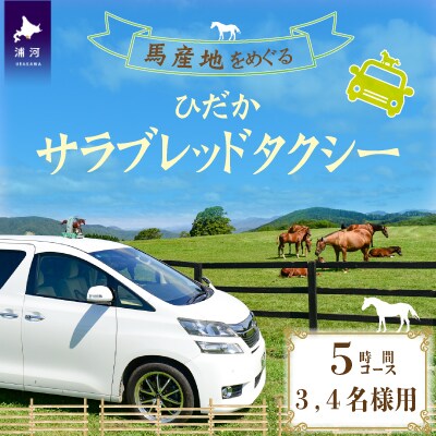 馬産地をめぐる「ひだかサラブレッドタクシー」5時間(3,4名様)コース[41-1105]