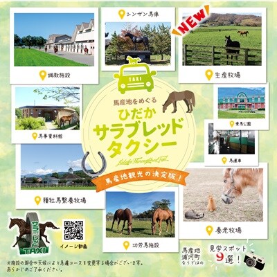 馬産地をめぐる「ひだかサラブレッドタクシー」5時間(3,4名様)コース[41-1105]
