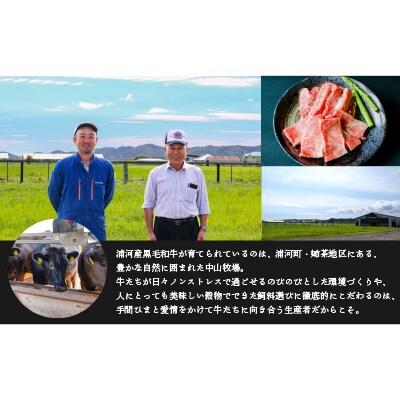 A4等級以上!「北海道浦河産黒毛和牛」4種食べ比べセット(計900g)[28-1150]