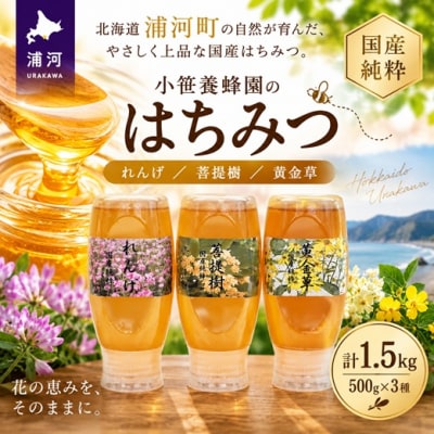 国産純粋完熟はちみつ3種セット(れんげ・菩提樹・黄金草)ご家庭用計1.5kg[16-1158]