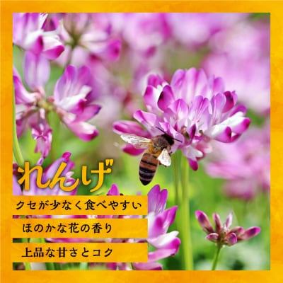 国産純粋完熟はちみつ3種セット(れんげ・菩提樹・黄金草)ご家庭用計1.5kg[16-1158]