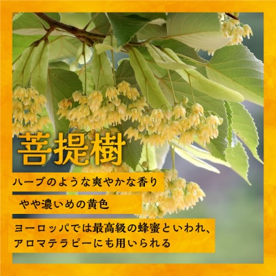 国産純粋完熟はちみつ3種セット(れんげ・菩提樹・黄金草)ご家庭用計1.5kg[16-1158]
