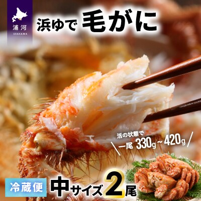 【今が旬!】漁協の浜ゆで毛がに 中サイズ2尾セット※日付指定対応不可※[02-1072]
