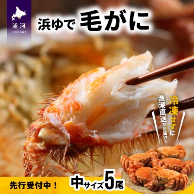 【先行受付開始!】漁協の浜ゆで毛がに 中サイズ5尾セット※日付指定対応不可※[02-628]