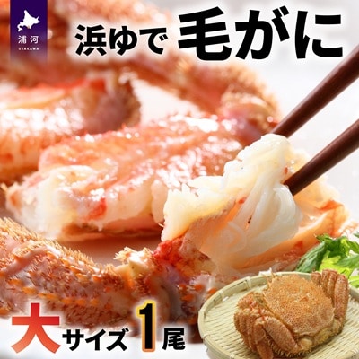 【今が旬!】漁協の浜ゆで毛がに 大サイズ1尾※日付指定対応不可※[02-346]