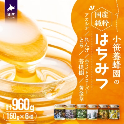 国産純粋完熟はちみつ6種食べ比べセット[16-1162]
