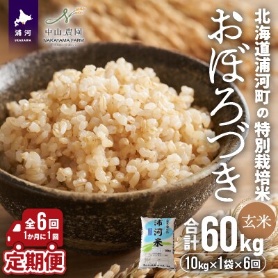 浦河町特別栽培米「おぼろづき」玄米(10kg×1袋)定期便全6回[37-1173]