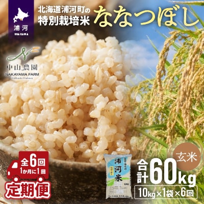 浦河特別栽培米「ななつぼし」玄米(10kg×1袋)定期便(全6回)[37-1174]