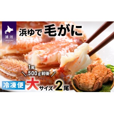 <冷凍>漁協の浜ゆで毛がに 大サイズ2尾セット [02-778]