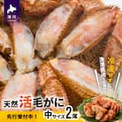 【先行受付開始!】漁協の活毛がに 中サイズ2尾セット※日付指定対応不可※[02-175]