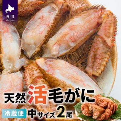 【今が旬!】漁協の活毛がに 中サイズ2尾セット※日付指定対応不可※[02-175]