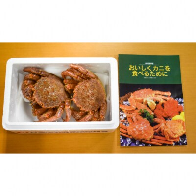 【今が旬!】漁協の活毛がに 中サイズ2尾セット※日付指定対応不可※[02-175]