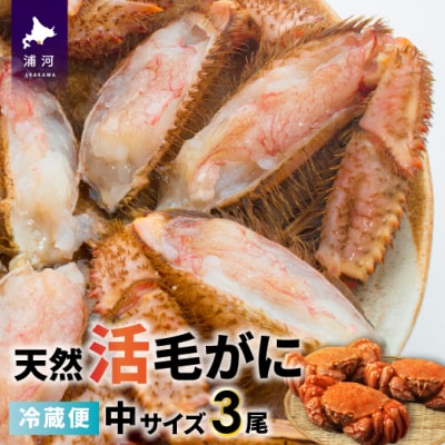 【今が旬!】漁協の活毛がに 中サイズ3尾セット※日付指定対応不可※[02-176]