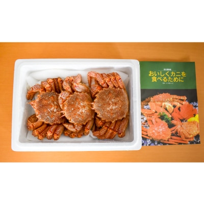 【今が旬!】漁協の活毛がに 中サイズ3尾セット※日付指定対応不可※[02-176]