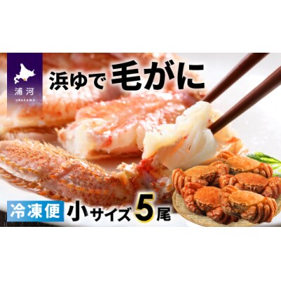 <冷凍>漁協の浜ゆで毛がに 小サイズ5尾セット[02-933]