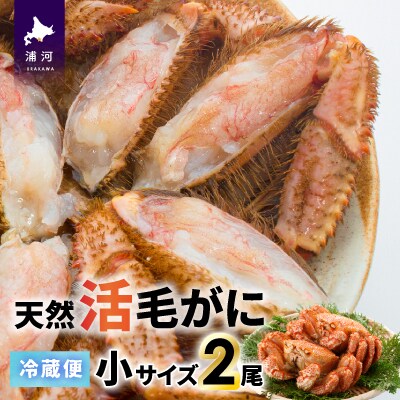 【今が旬!】漁協の活毛がに 小サイズ2尾セット※日付指定対応不可※[02-1205]