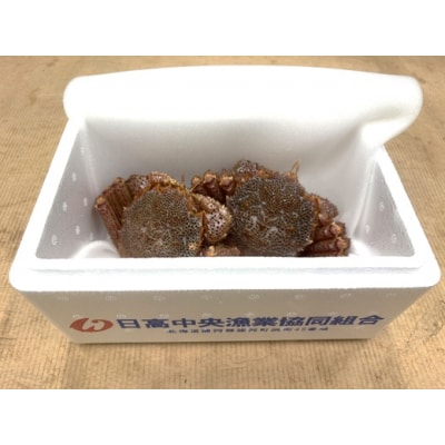 【今が旬!】漁協の活毛がに 小サイズ2尾セット※日付指定対応不可※[02-1205]