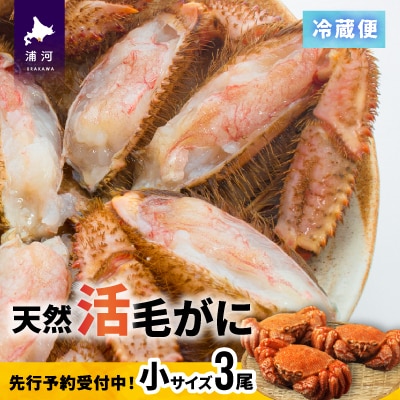 【先行受付開始!】漁協の活毛がに 小サイズ3尾セット※日付指定対応不可※[02-1206]