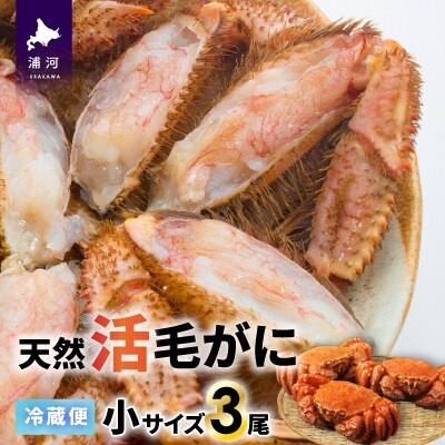 【今が旬!】漁協の活毛がに 小サイズ3尾セット※日付指定対応不可※[02-1206]