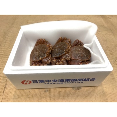 【今が旬!】漁協の活毛がに 小サイズ3尾セット※日付指定対応不可※[02-1206]