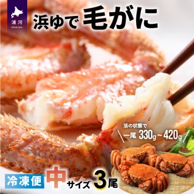 <冷凍>漁協の浜ゆで毛がに 中サイズ3尾セット[02-772]