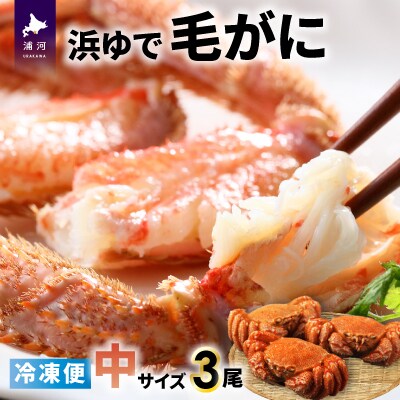<冷凍>漁協の浜ゆで毛がに 中サイズ3尾セット[02-772]