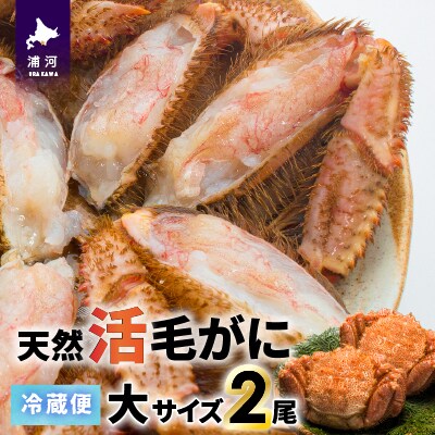 【今が旬!】漁協の活毛がに 大サイズ2尾セット※日付指定対応不可※[02-507]