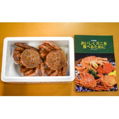 【今が旬!】漁協の活毛がに 大サイズ2尾セット※日付指定対応不可※[02-507]