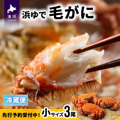【先行受付開始!】漁協の浜ゆで毛がに 小サイズ3尾セット※日付指定対応不可※[02-1201]