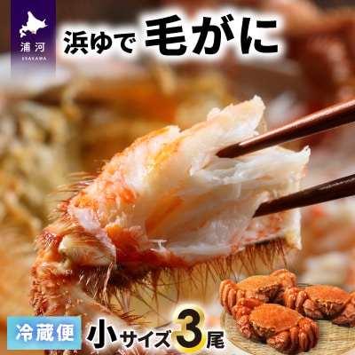 【今が旬!】漁協の浜ゆで毛がに 小サイズ3尾セット※日付指定対応不可※[02-1201]