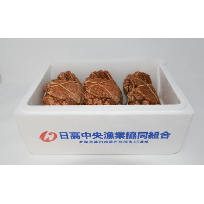 【今が旬!】漁協の浜ゆで毛がに 小サイズ3尾セット※日付指定対応不可※[02-1201]