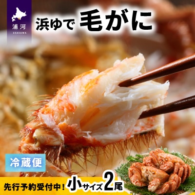【先行受付開始!】漁協の浜ゆで毛がに 小サイズ2尾セット※日付指定対応不可※[02-1202]