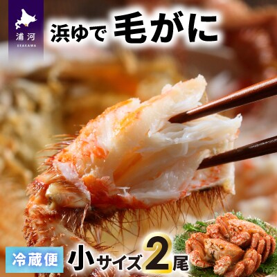 【今が旬!】漁協の浜ゆで毛がに 小サイズ2尾セット※日付指定対応不可※[02-1202]