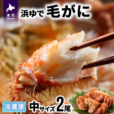 【今が旬!】漁協の浜ゆで毛がに 中サイズ2尾セット※日付指定対応不可※[02-173]