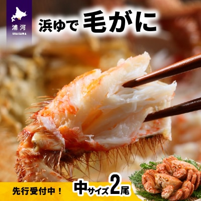 【先行受付開始!】漁協の浜ゆで毛がに 中サイズ2尾セット※日付指定対応不可※[02-173]