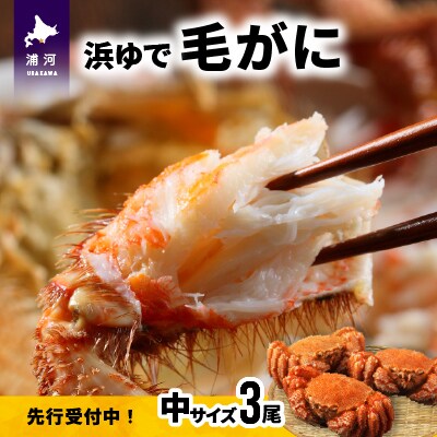 【先行受付開始!】漁協の浜ゆで毛がに 中サイズ3尾セット※日付指定対応不可※[02-174]