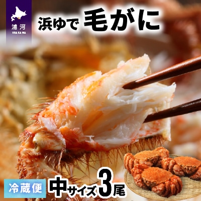 【今が旬!】漁協の浜ゆで毛がに 中サイズ3尾セット※日付指定対応不可※[02-174]