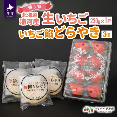 【母の日対応】北海道浦河産「生いちご」&「どらやき」ギフトセット[13-1212]