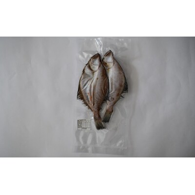 漁協の地魚一夜干し 宗八カレイ 中サイズ(6尾入)[02-865]