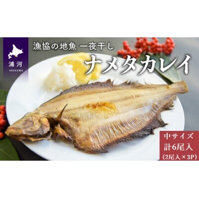 漁協の地魚一夜干し ナメタカレイ 中サイズ(6尾入)[02-866]