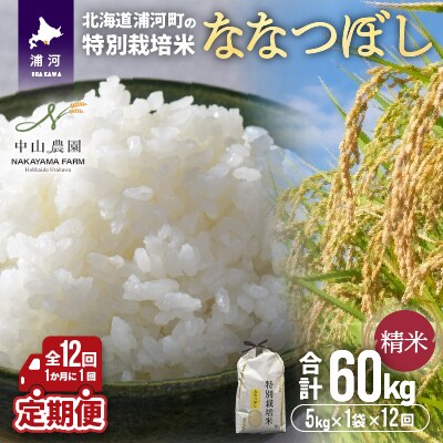 【令和5年産】浦河町の特別栽培米「ななつぼし」精米5kg×1袋定期便(全12回)[37-1221]